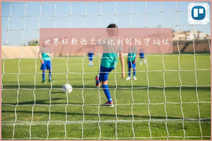 世界杯新西兰vs比利时防守站位