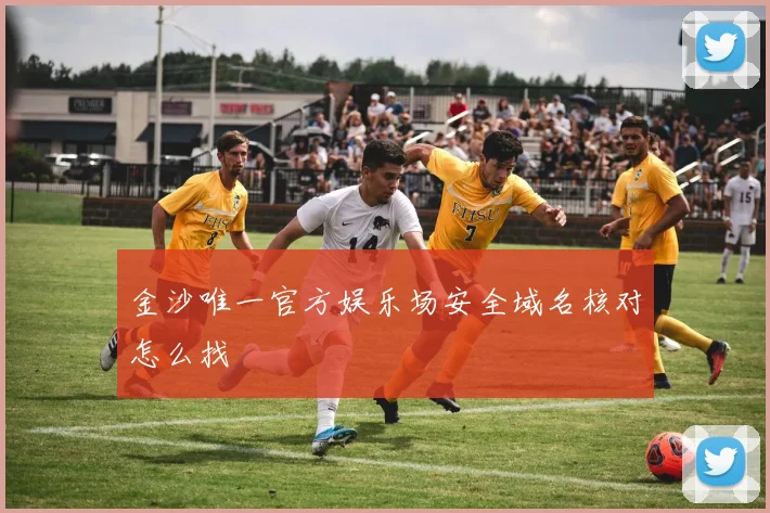 金沙唯一官方娱乐场安全域名核对怎么找