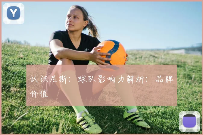 认识尼斯：球队影响力解析：品牌价值